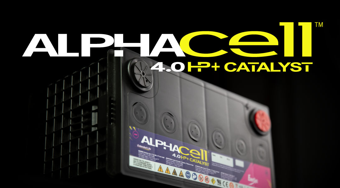 AlphaCell-Catalyst-blog.jpg