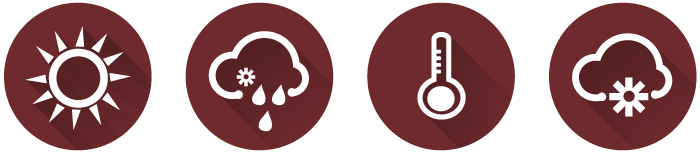 AlphaCell-Catalyst-blog-icons.jpg