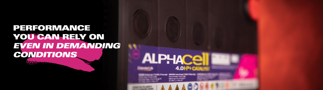 AlphaCell-Catalyst-Performance-V4.jpg
