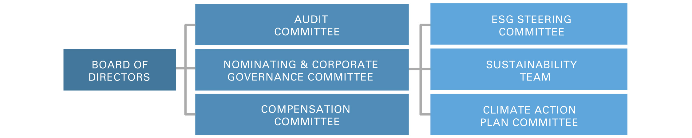 Board Committees