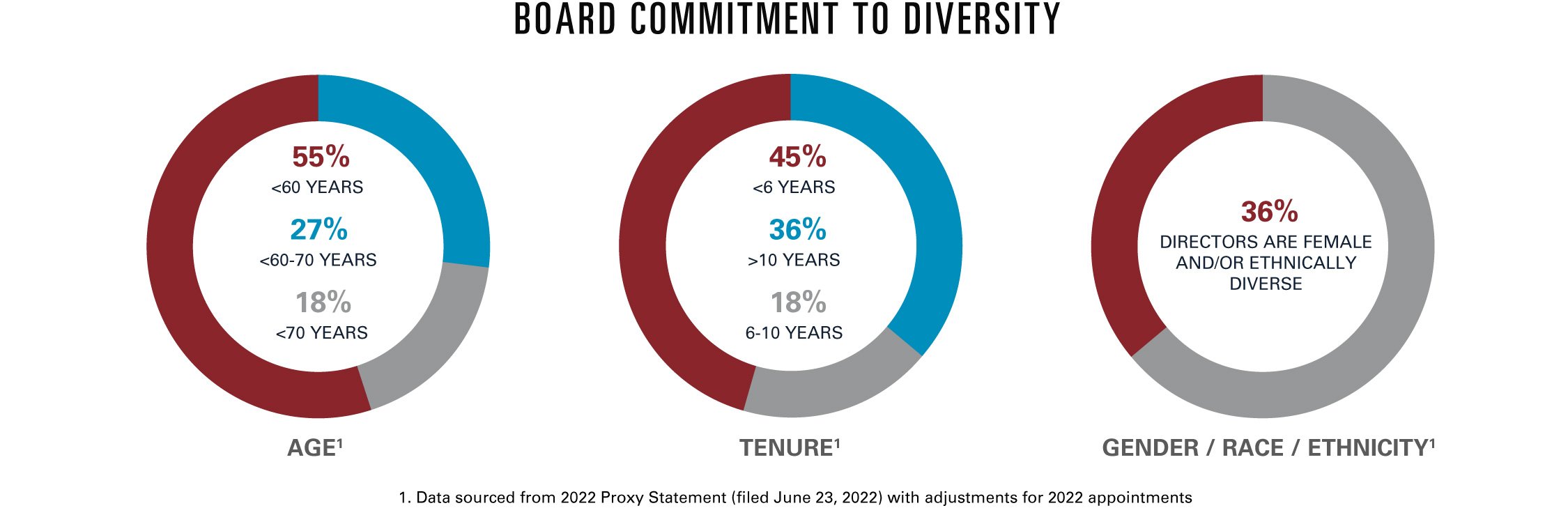 Board Committee Diversity