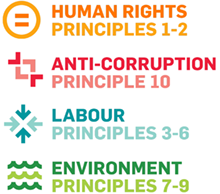 Sustainability_unitednations-principals.png