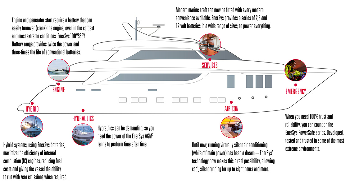 Marine Infographic